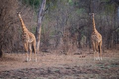 MalawiZambie_0268_web