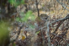 MalawiZambie_0269_web