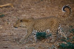 MalawiZambie_0270_web