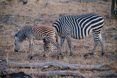 MalawiZambie_0271_web