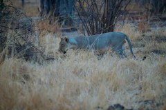 MalawiZambie_0272_web