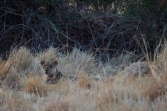 MalawiZambie_0273_web