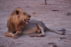 MalawiZambie_0276_web