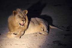 MalawiZambie_0277_web