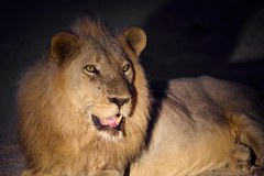 MalawiZambie_0278_web