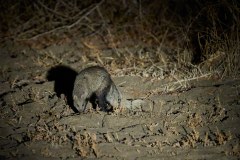 MalawiZambie_0279_web