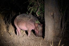 MalawiZambie_0280_web