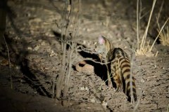 MalawiZambie_0281_web