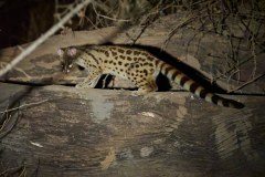 MalawiZambie_0282_web