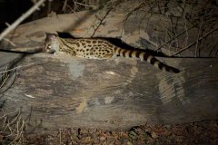 MalawiZambie_0283_web