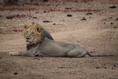 MalawiZambie_0285_web
