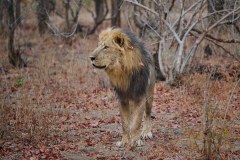MalawiZambie_0286_web