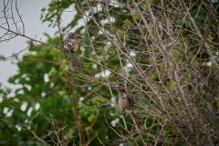 MalawiZambie_0287_web