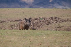 MalawiZambie_0289_web