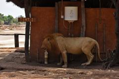 MalawiZambie_0299