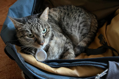 DSC_0300_web