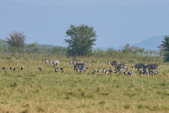 DSC_0441_web