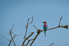 DSC_0677_web