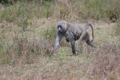 DSC_0797_web