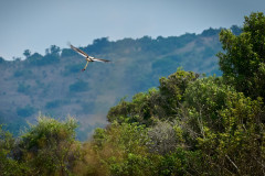 DSC_0829_web