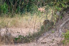 DSC_0850_web