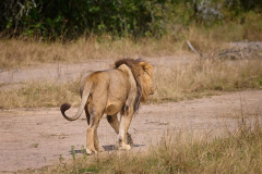 DSC_0856_web