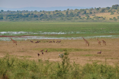 DSC_0887_web
