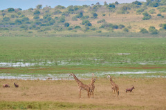 DSC_0891_web