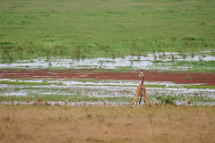 DSC_0897_web