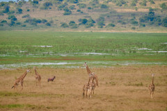 DSC_0900_web