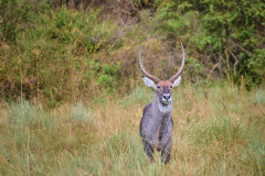 DSC_0943_web