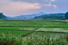 DSC_1190_web