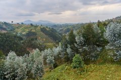 DSC_1261_web