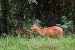 DSC_1297_web