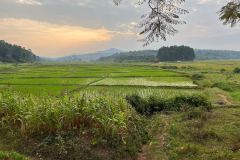 DSC_1299_web