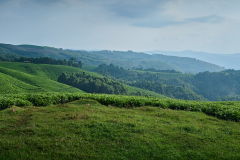 DSC_1452_Panorama_web