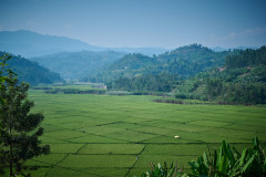 DSC_1624_web