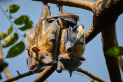 DSC_1972_web