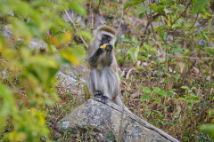 DSC_2120_web