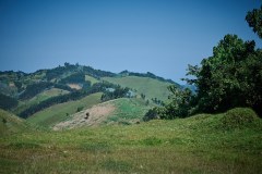 DSC_2549_web