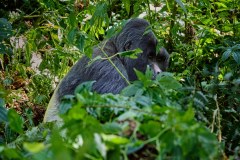 DSC_3138_web