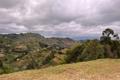 DSC_3782_web