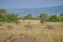 DSC_3856_web