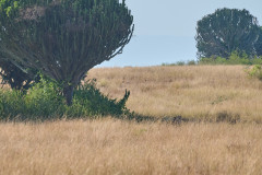 DSC_4027_web