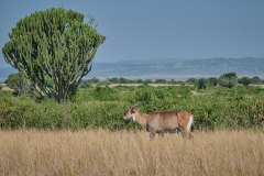 DSC_4134_web