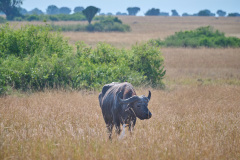 DSC_4180_web
