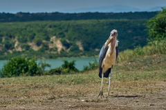 DSC_4500m_web
