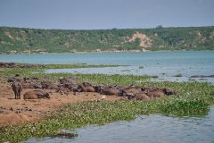 DSC_4556_web