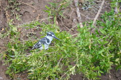 DSC_4691_web