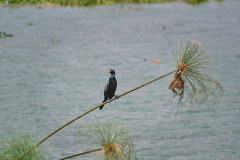 DSC_4794_web